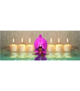Glas Küchenrückwand 6 mm ESG Motive KRWM-0015