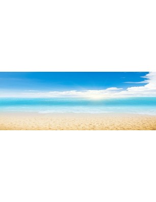 Glas Küchenrückwand 6 mm ESG Motive KRWM-0081