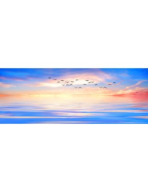 Glas Küchenrückwand 6 mm ESG Motive KRWM-0138