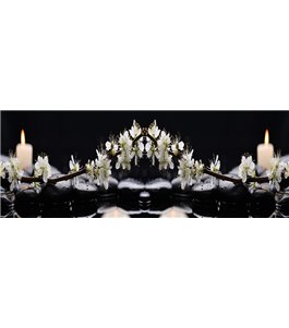 Glas Küchenrückwand 6 mm ESG Motive KRWM-0182
