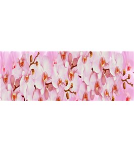 Glas Küchenrückwand 6 mm ESG Motive KRWM-0296