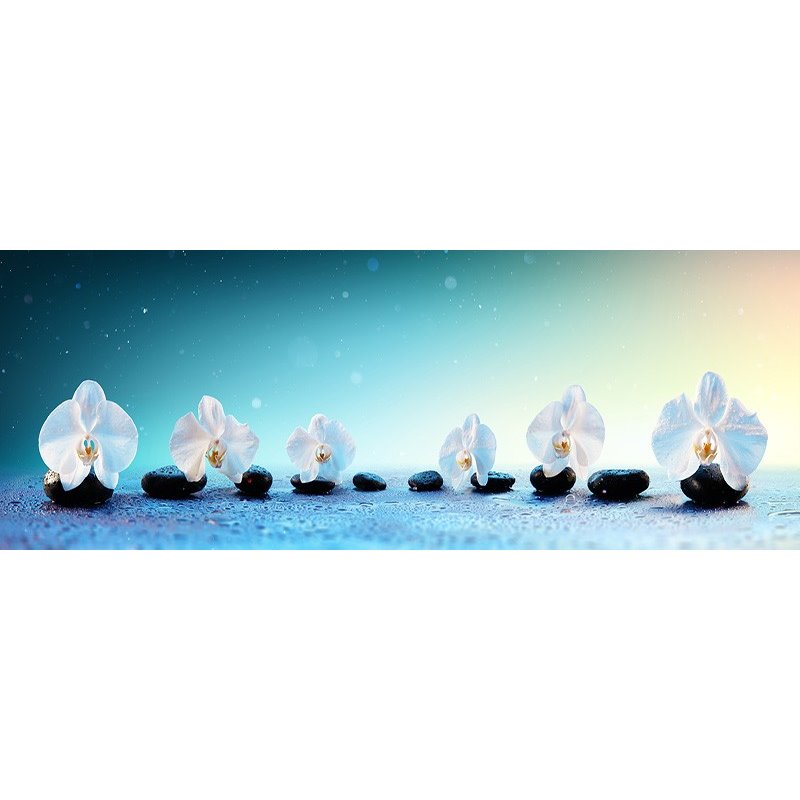 Glas Küchenrückwand 6 mm ESG Motive KRWM-0297 Glas Küchenrückwand 6 mm ESG Motive KRWM-0297