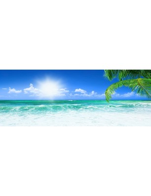 Glas Küchenrückwand 6 mm ESG Motive KRWM-0344
