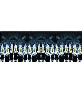 Glas Küchenrückwand 6 mm ESG Motive KRWM-0353