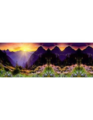 Glas Küchenrückwand 6 mm ESG Motive KRWM-0412