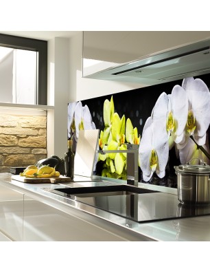 Glas Küchenrückwand 6 mm ESG Motive KRWM-0413