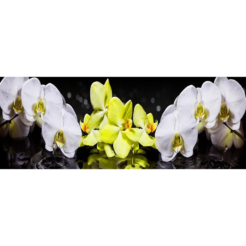 Glas Küchenrückwand 6 mm ESG Motive KRWM-0413 Glas Küchenrückwand 6 mm ESG Motive KRWM-0413