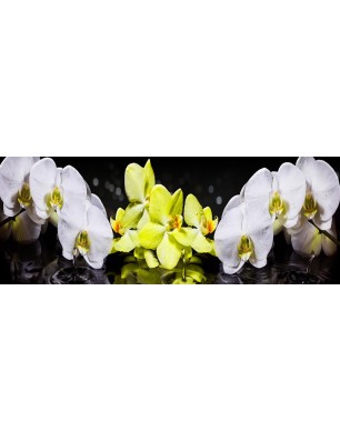 Glas Küchenrückwand 6 mm ESG Motive KRWM-0413