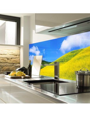 Glas Küchenrückwand 6 mm ESG Motive KRWM-0431
