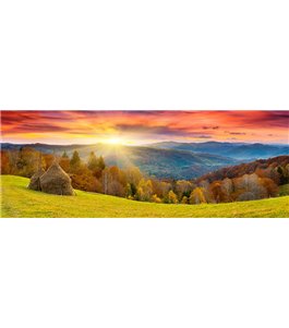 Glas Küchenrückwand 6 mm ESG Motive KRWM-0442