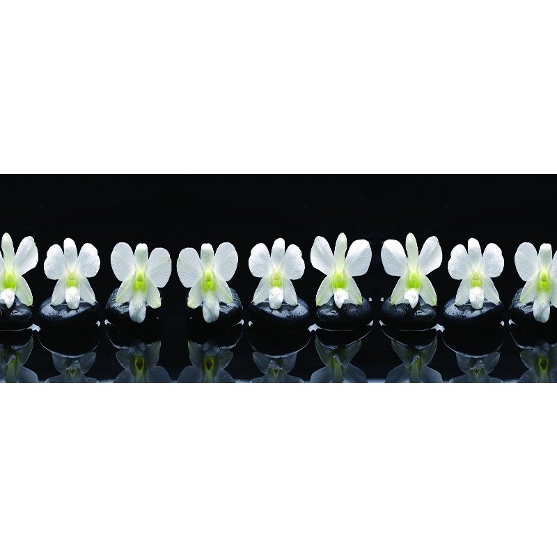 Glas Küchenrückwand 6 mm ESG Motive KRWM-0503 Glas Küchenrückwand 6 mm ESG Motive KRWM-0503