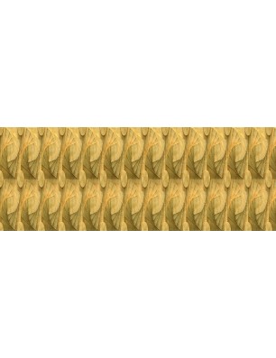 Glas Küchenrückwand 6 mm ESG Motive KRWM-0511