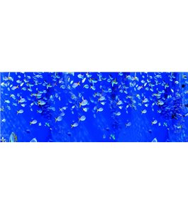 Glas Küchenrückwand 6 mm ESG Motive KRWM-0514