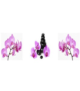 Glas Küchenrückwand 6 mm ESG Motive KRWM-0524