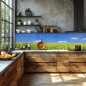 Glas Küchenrückwand 6 mm ESG Motive KRWM-0530
