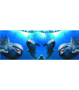 Glas Küchenrückwand 6 mm ESG Motive KRWM-0532