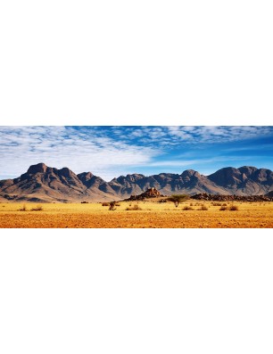 Glas Küchenrückwand 6 mm ESG Motive KRWM-0550