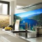 Glas Küchenrückwand 6 mm ESG Motive KRWM-0568