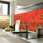 Glas Küchenrückwand 6 mm ESG Motive KRWM-0595