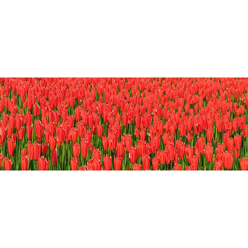 Glas Küchenrückwand 6 mm ESG Motive KRWM-0595