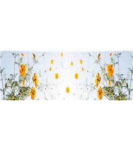 Glas Küchenrückwand 6 mm ESG Motive KRWM-0629