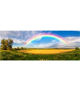 Glas Küchenrückwand 6 mm ESG Motive KRWM-0643