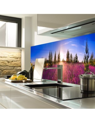 Glas Küchenrückwand 6 mm ESG Motive KRWM-0776
