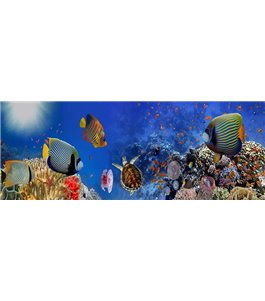 Glas Küchenrückwand 6 mm ESG Motive KRWM-0780