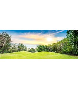 Glas Küchenrückwand 6 mm ESG Motive KRWM-0782