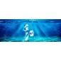 Glas Küchenrückwand 6 mm ESG Motive KRWM-0865 Glas Küchenrückwand 6 mm ESG Motive KRWM-0865