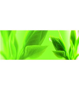 Glas Küchenrückwand 6 mm ESG Motive KRWM-0895