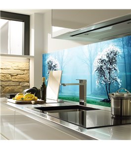 Glas Küchenrückwand 6 mm ESG Motive KRWM-0899