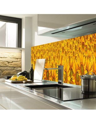 Glas Küchenrückwand 6 mm ESG Motive KRWM-0945
