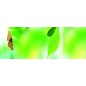 Glas Küchenrückwand 6 mm ESG Motive KRWM-0955 Glas Küchenrückwand 6 mm ESG Motive KRWM-0955