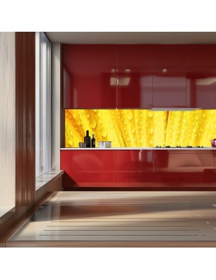 Glas Küchenrückwand 6 mm ESG Motive KRWM-0963