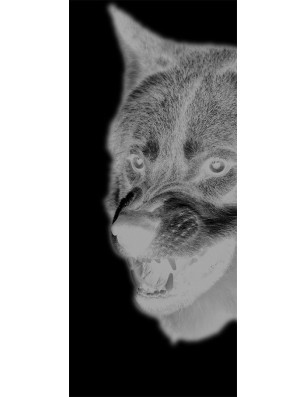 Ganzglastür Wolf Gelasert Auf Klarglas