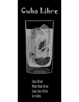 Ganzglastür Cuba Libre Gelasert Auf Grauglas
