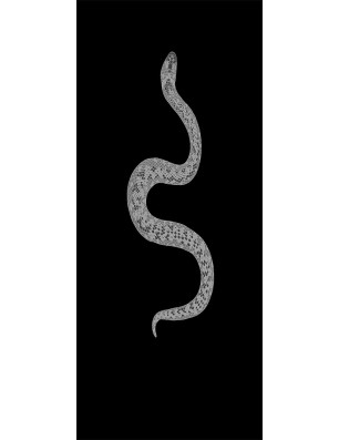 Glasschiebetür PIPE-LINE Snake Gelasert Auf Grauglas