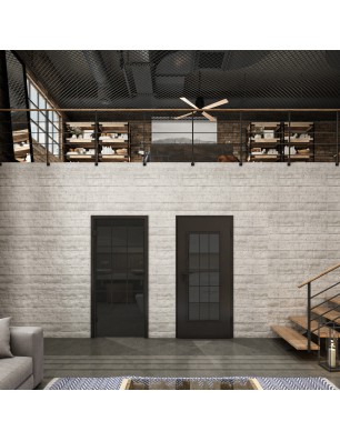Ganzglastür Loft Schwarzlack 09 auf Grauglas | Glastuershop24