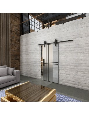 Glasschiebetür BARN-LINE Loft Schwarzlack 21 | Glastuershop24