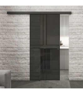 Glasschiebetür BLACK-LINE Loft Schwarzlack 15 | Glastuershop24