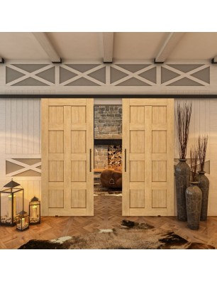 Glasschiebetür BLACK-LINE - Country Sonoma | Glastuershop24