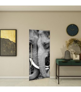 Pendeltür - Fotoprint Modell 222 | Glastuershop24