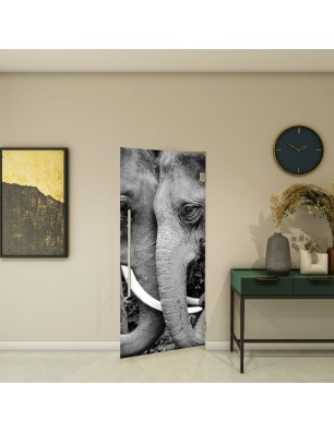 Pendeltür - Fotoprint Modell 222 | Glastuershop24