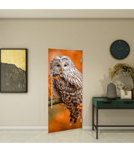 Pendeltür - Fotoprint Modell 238 | Glastuershop24