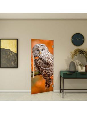 Pendeltür - Fotoprint Modell 238 | Glastuershop24