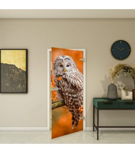 Ganzglastür Fotoprint Modell 238 mit Tiermotiv | Glastuershop24