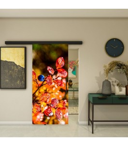 Glasschiebetür BLACK-LINE - Fotoprint Model 188 | Glastuershop24