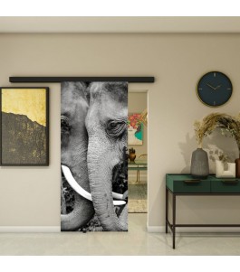 Glasschiebetür BLACK-LINE - Fotoprint Modell 222 | Glastuershop24