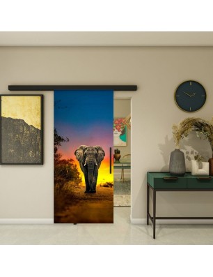 Glasschiebetür BLACK-LINE - Fotoprint Modell 226 | Glastuershop24